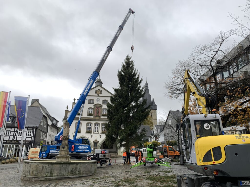 Weihnachtsbaum vor dem Rathaus