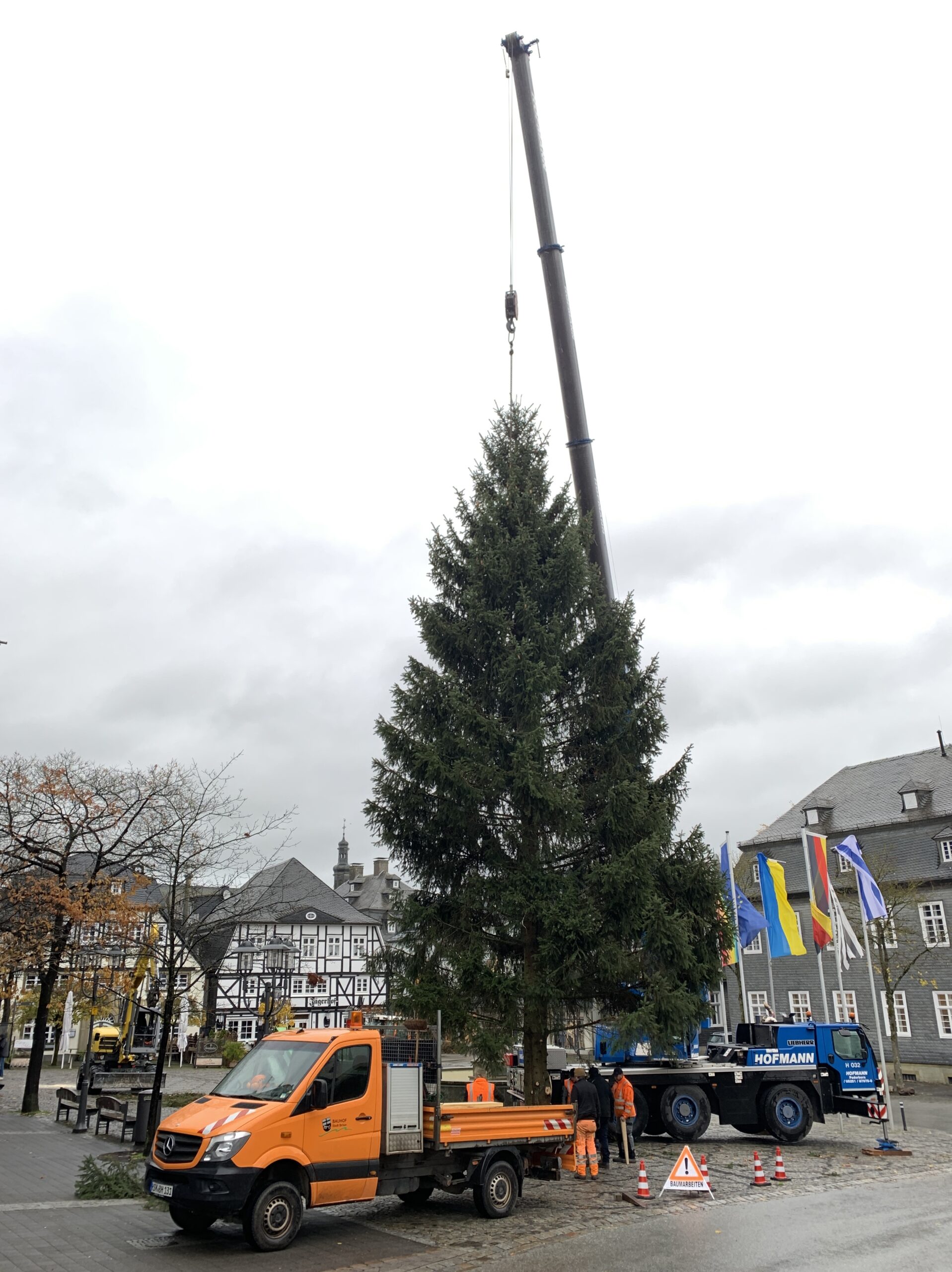 Weihnachtsbaum auf dem Marktplatz aufgestellt